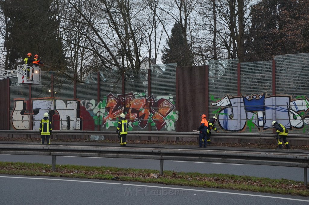 Einsatz BF Baum Koeln Vingst Vingster Ring P09.JPG - Miklos Laubert